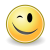 Face wink 3