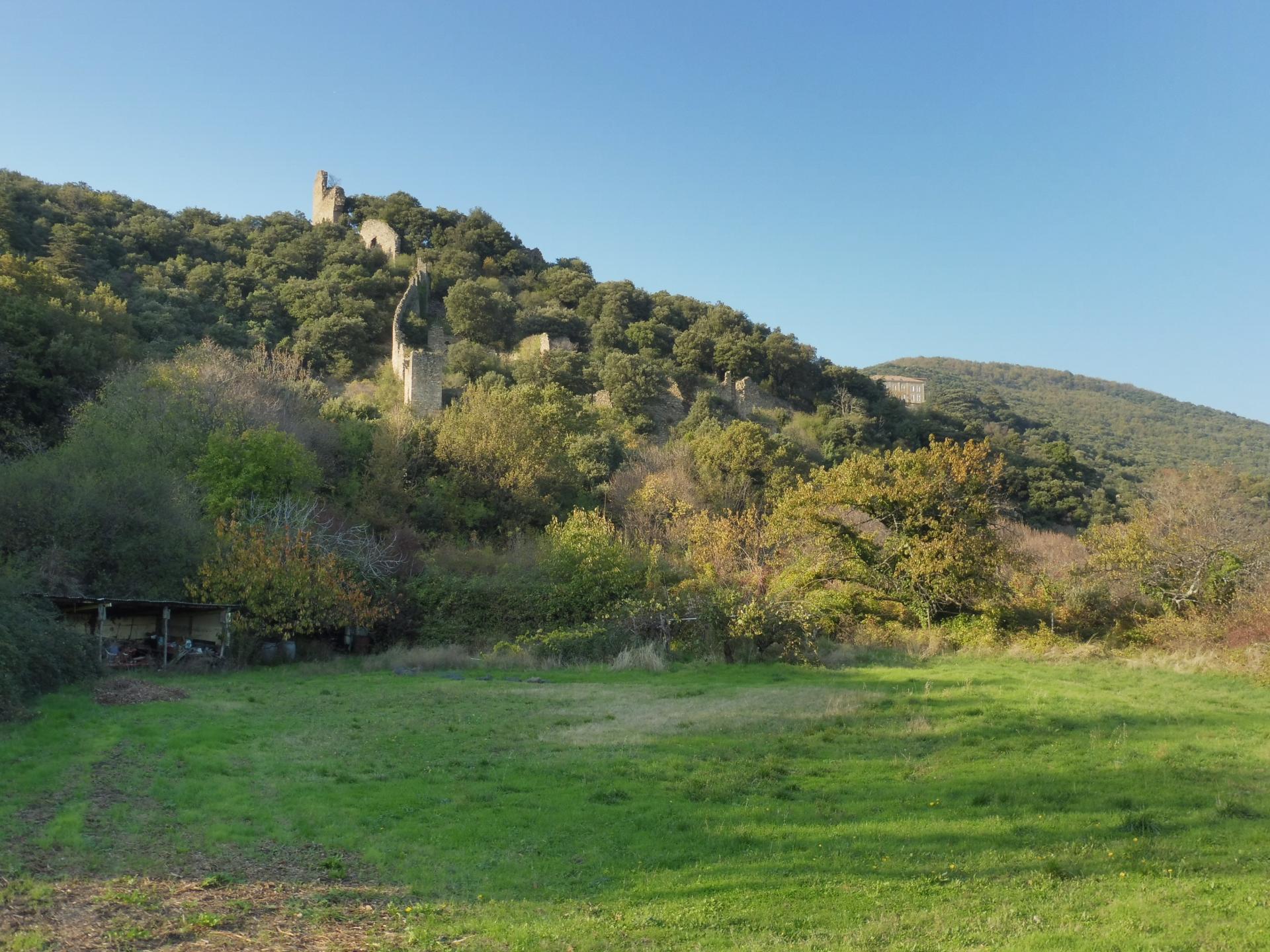 P1070398 1