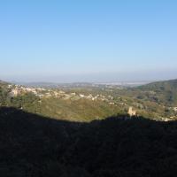 P1070424 1
